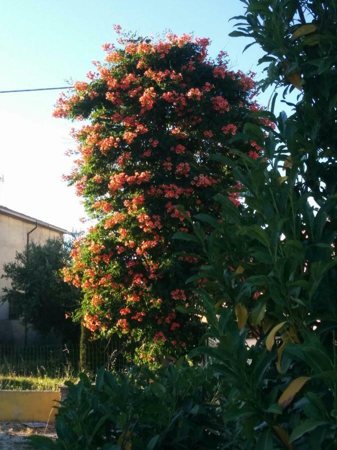 Appartamento Della Pia Bevagna Exterior foto